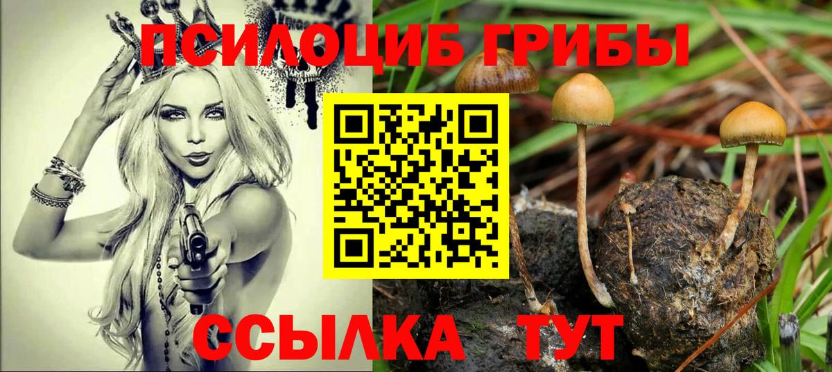 Галлюциногенные грибы мицелий  Вход с VPN  Жуковский  Псилоцибиновые грибы Psilocybine cubensis 