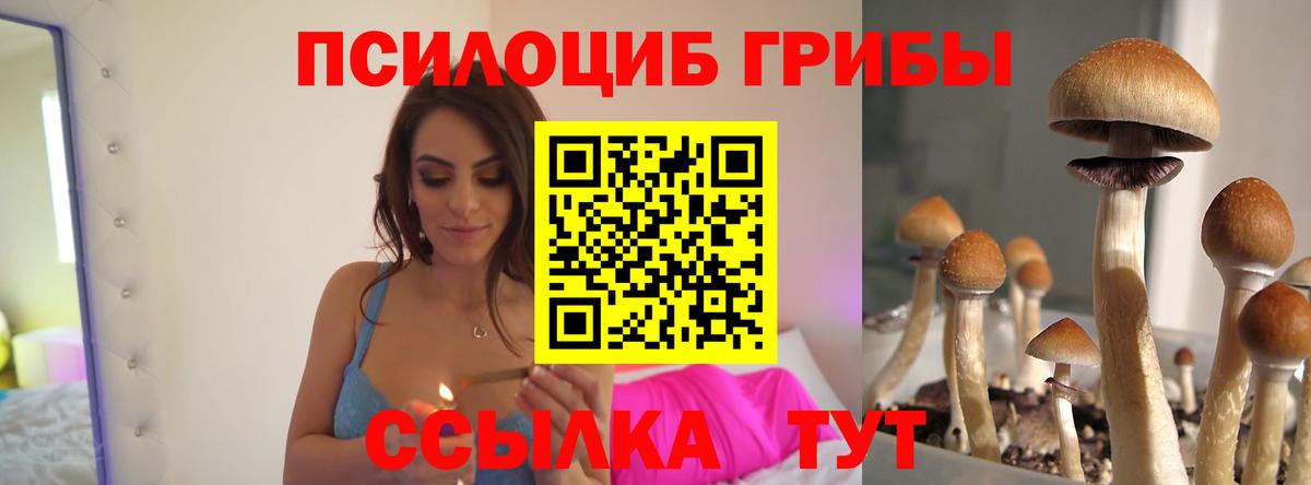 Галлюциногенные грибы Psilocybine cubensis Жуковский